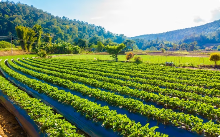 agri_intro