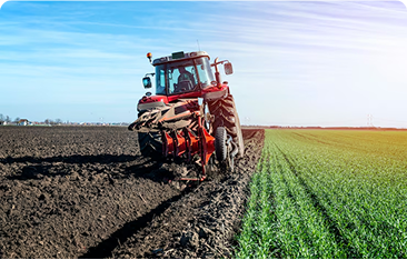 Agriculture